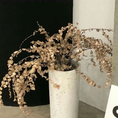 兽设配色实用搭配指南兽圈群